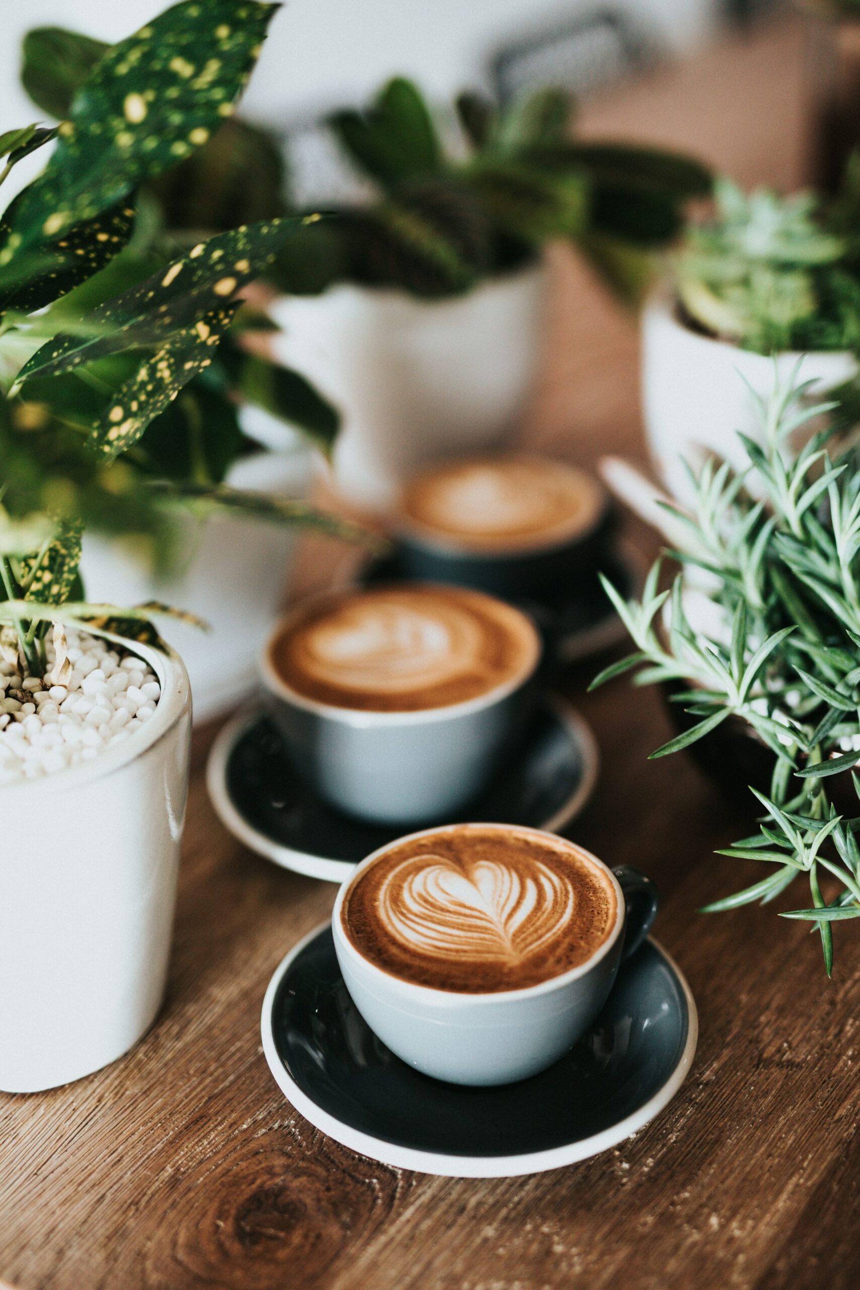 Lattes in a coffee shop