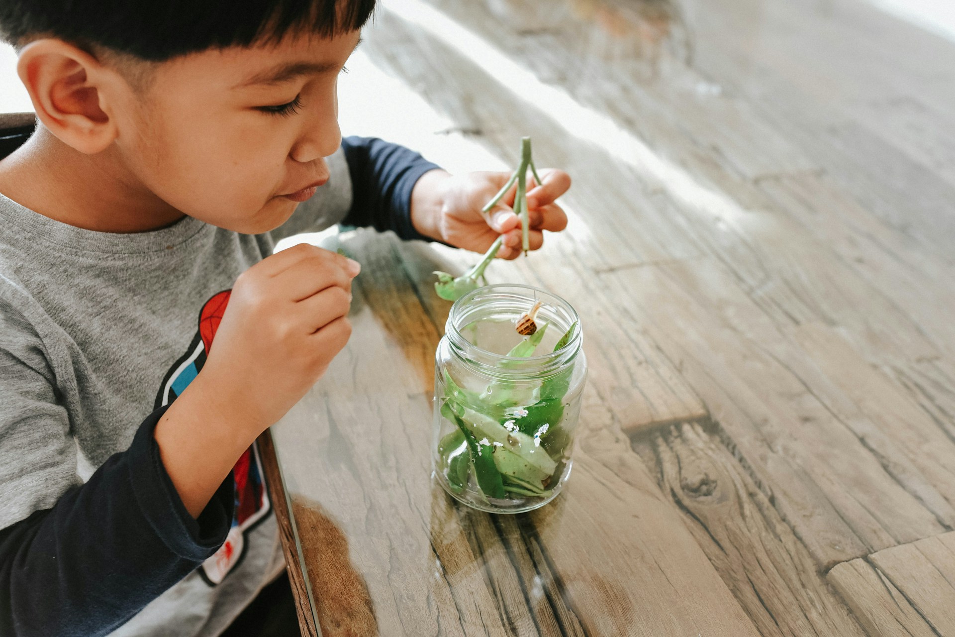 Young boy with jar of water